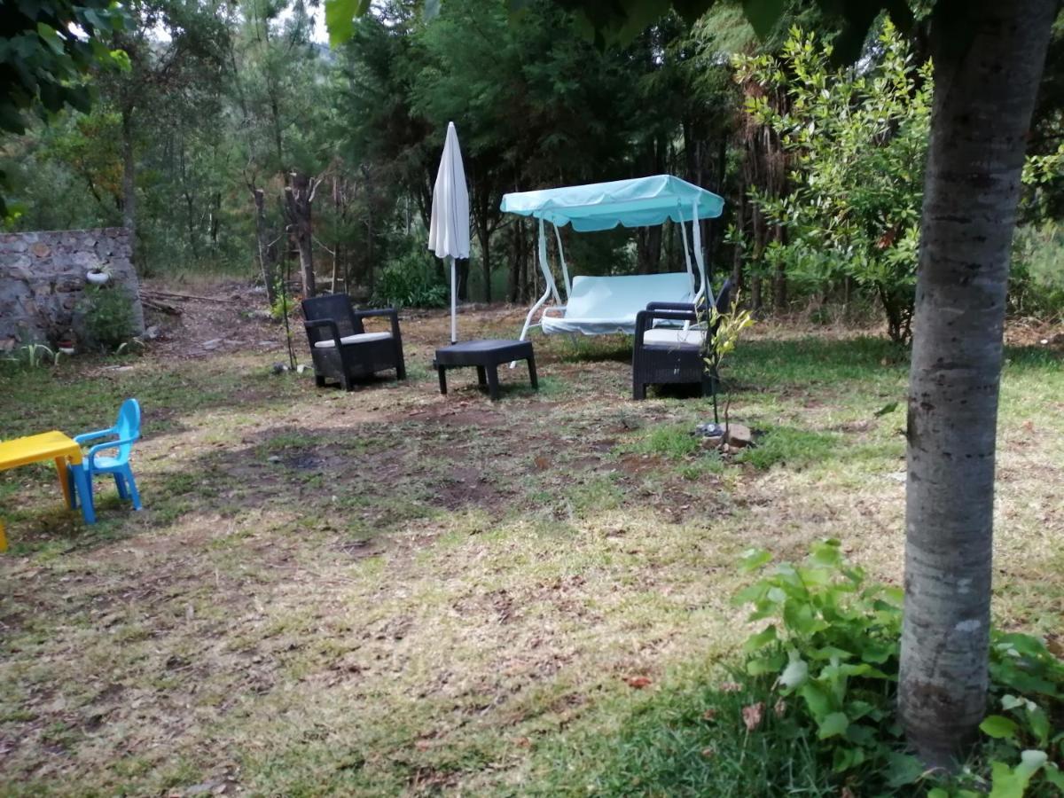 Casa Da Lomba Holiday home Arganil