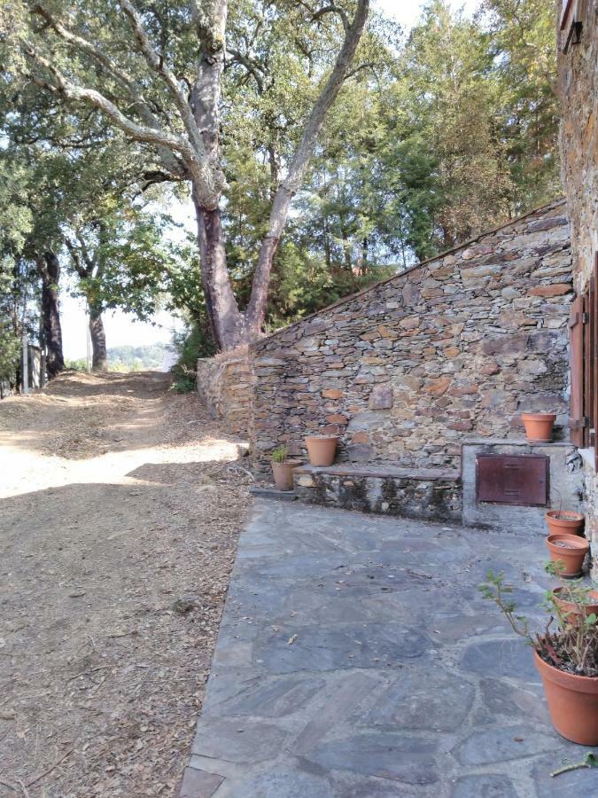 Holiday home Casa Da Lomba *